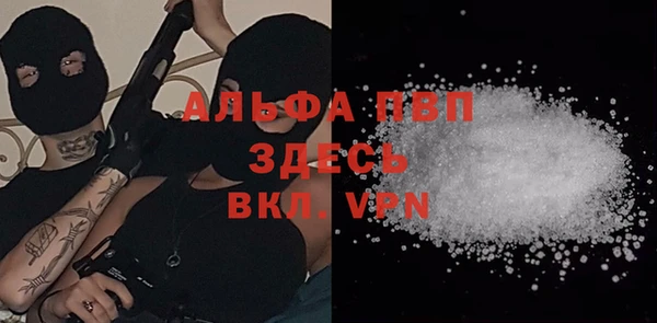 стафф Алзамай