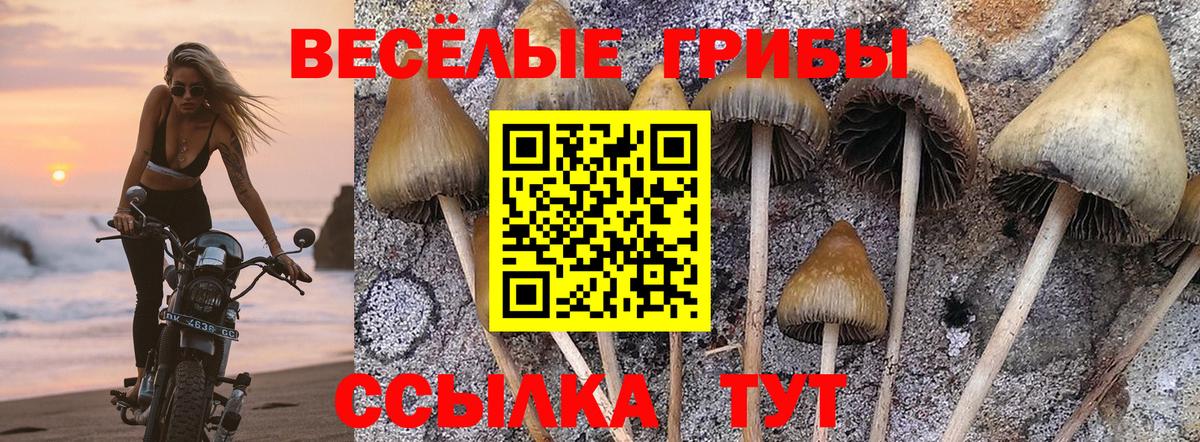 Рубцовск  Галлюциногенные грибы мухоморы  Вход с VPN 