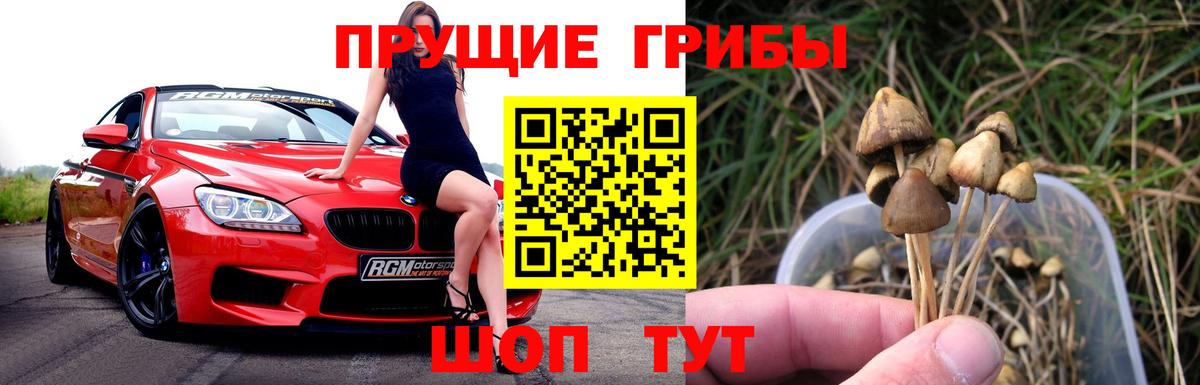 Псилоцибиновые грибы мицелий Рубцовск